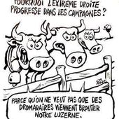 Humour Elections: Motivation campagnarde pour le FN - Doc de Haguenau