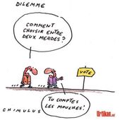 Humour élections: Choisir entre deux mouches à merde