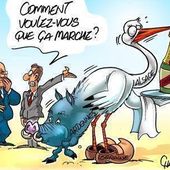 Humour Grandes régions: Echec programmé de l'ACAL - Doc de Haguenau