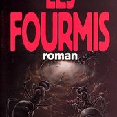Humour Coquin: Les fourmis et la pluie