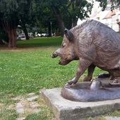 Humour Lorrain: Les chasseurs et le promeneur - Doc de Haguenau