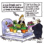 Humour Belle-mère: La solution la moins chère - Doc de Haguenau