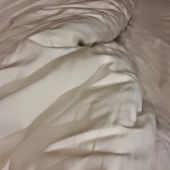 Humour Alibi et adultère: Qui croire?