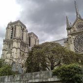 Humour Coquin: Le bossu de Notre Dame - Doc de Haguenau