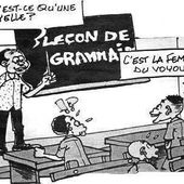 Humour Ecole: La langue française est-elle logique?