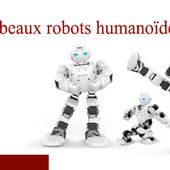 Les plus beaux beaux robots humanoïde en vente - Lucide Sapiens Martinique