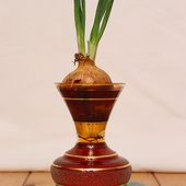 Obtenir un Substitut de Fines Herbes - La Cuisine des Jours...