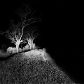 Un jour, la nuit (version intégrale) - Images Prises Aux Mots