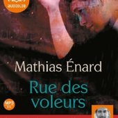 Rue des voleurs de Mathias Enard - Que lire ?