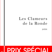 Les Clameurs de la Ronde d'Arthur Yasmine - Que lire ?