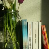 Mes idées de lecture - Chapitre premier - Blog Littéraire : livres, culture, écriture, lifestyle - Que Lire ?