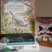 Mes idées de lecture - Chapitre 2 - Blog Littéraire : livres, culture, écriture, lifestyle - Que Lire ?