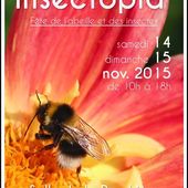 Apinord Dunkerque et Insectopia à Leffrinckoucke les 14 et 15 novembre 2015