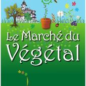 Apinord Dunkerque se prépare au Marché du Végétal du Parc Coquelle-Rosendaël de Dunkerque