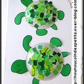 .. Animaux .. " la famille tortue " - Le blog de nounoucoindespetits