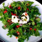 Envie de salades pour cet été: 10 recettes toutes fraîches