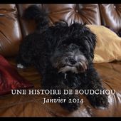 Une vie de Chien - Les Coups d'Oeil de Brigitte