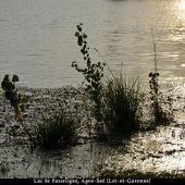 Contre-jour et Silhouettes - Les Coups d'Oeil de Brigitte