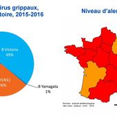 Grippe saisonnière 2016 : l'épidémie s'installe sur le territoire - Chroniques Cartographiques