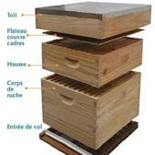 PROTECTION DES RUCHES EN BOIS