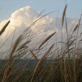 Poème: LES SECRETS D'AILLEURS - Anse Etoile Mahé