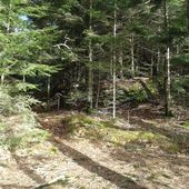 Stage de Qigong, Taichi, Clown - QIGONG DANS LA MONTAGNE