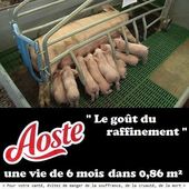 Quand aoste se fout de la gueule des végétariens pour vendre du jambon - FramboiseChocolatandco