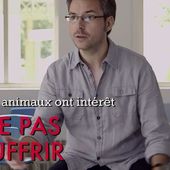 Les mauvaises excuses pour justifier l'exploitation des animaux.N°1 - FramboiseChocolatandco