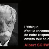 Les mauvaises excuses pour justifier l'exploitation des animaux.N°2 - FramboiseChocolatandco