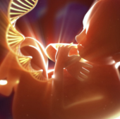 Bébés génétiquement modifiés : on y est ! - MOINS de BIENS PLUS de LIENS