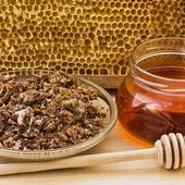 Propolis : une merveille de la nature pour rester en bonne santé - MOINS de BIENS PLUS de LIENS