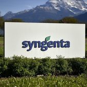 Syngenta racheté par la Chine pour 46 milliards de dollars - MOINS de BIENS PLUS de LIENS