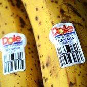 Découvrez si vous consommez des OGM avec cette simple astuce - MOINS de BIENS PLUS de LIENS