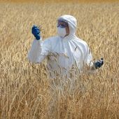 Bonne nouvelle : Les profits du géant Monsanto dégringolent - MOINS de BIENS PLUS de LIENS