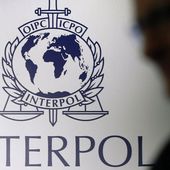 Attentat de Nice: Interpol envoie un groupe d'enquêteurs - MOINS de BIENS PLUS de LIENS
