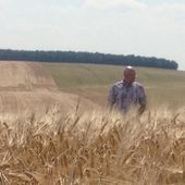France : Moissons catastrophiques - MOINS de BIENS PLUS de LIENS