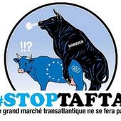 TAFTA: selon l'Allemagne, les négociations auraient échoué - MOINS de BIENS PLUS de LIENS