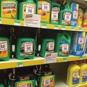 Le glyphosate ne sera pas interdit dans l'agriculture - MOINS de BIENS PLUS de LIENS