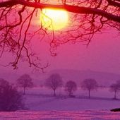 Le Soleil s'endort... - MOINS de BIENS PLUS de LIENS