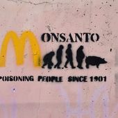 Glyphosate : Monsanto (de nouveau) accusé de corruption scientifique - MOINS de BIENS PLUS de LIENS