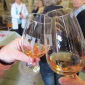 Dégustation des vins des Coteaux du Vendômois - La Commanderie Saint Jean d'Artins