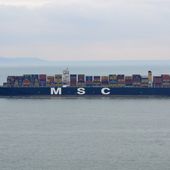 MSC, le numéro 2 du conteneur -