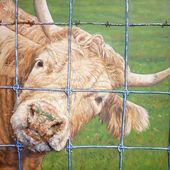 Portraits de Vache - yoyoSpire