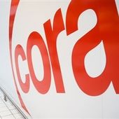 Inquiétudes pour les employés de Cora: "Pas de licenciement collectif" assure la direction