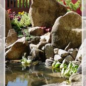 Remplacement d'un petit bassin - Création de jardins d'inspiration japonaise