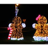 illumination de noël a Téteghem - David Debruyne Photographie