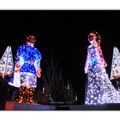 Noël magique a Calais - David Debruyne Photographie
