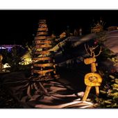 marché de noël de Gravelines - David Debruyne Photographie