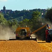 La moisson dans la campagne Flamande - David Debruyne Photographie