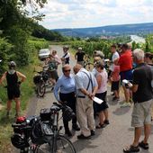 In Veitshöchheim mit dem Fahrrad dem Klimawandel auf der Spur - Veitshöchheim News